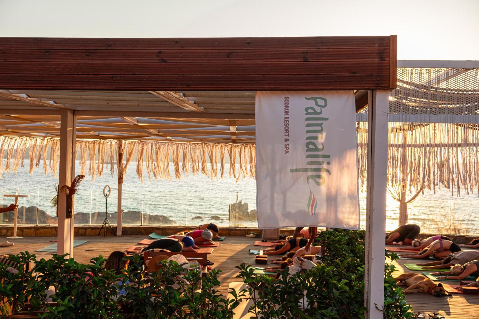 Palmalife Bodrum Resort & Spa يالِكافاك المظهر الخارجي الصورة